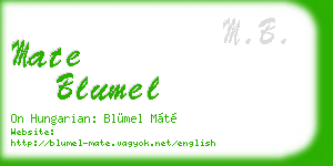 mate blumel business card