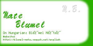 mate blumel business card